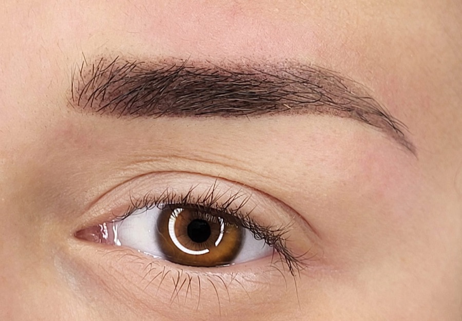 Réalisation : sourcils en dermopigmentation